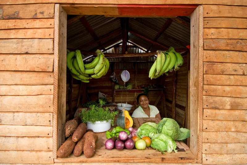 Woman in her small fruit and veg shop near Las Galeras, Samana.