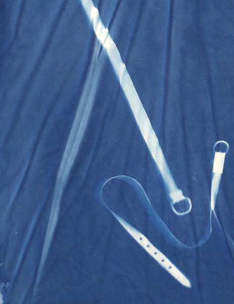 Travis Boyer, "Uh oh, competition" (Detail), 2012, Cyanotype on Silk, 60 x 42 inches